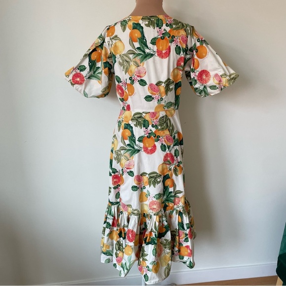 CARA CARA Georgica Puff-Sleeve Tie Front Grapefruit Citrus Print Dress EUX Sz 2 - Picture 4 of 8
